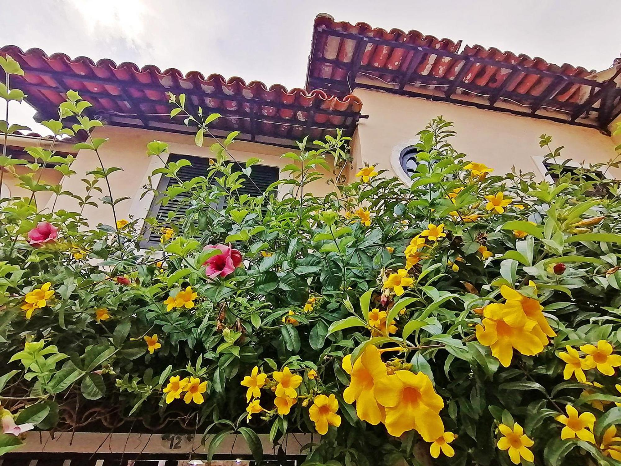 Búzios Casa A 500M Da Rua Das Pedras Em Lindo Condominio Com Portaria 24H מראה חיצוני תמונה